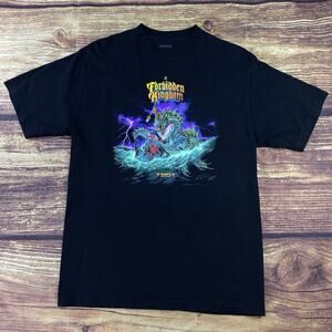 Insomniac Forbidden Kingdom Dragon TShirt Size Medium Concert Music Fest